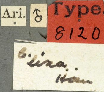 Media type: image;   Entomology 8120 Aspect: labels
